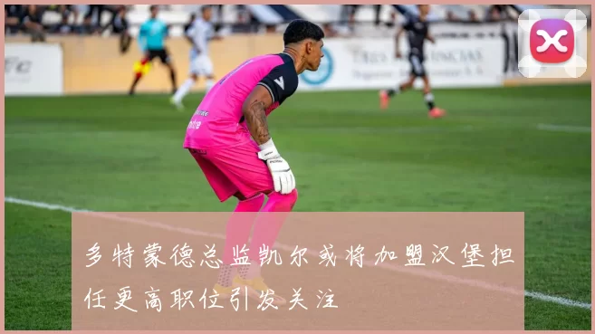多特蒙德总监凯尔或将加盟汉堡担任更高职位引发关注